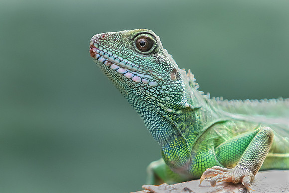 Eric-00026