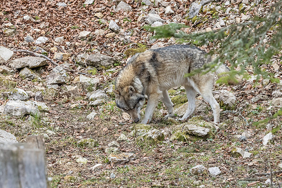 Eric-03991