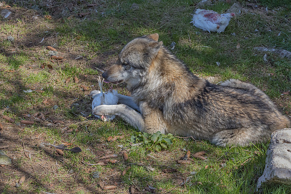 Eric-04074