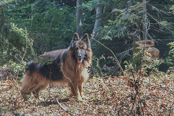 Eric-00021
