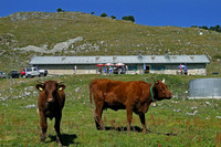 2009-08-23 Chalet de Curson