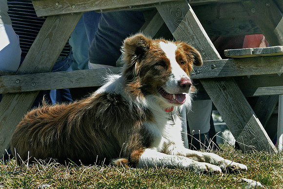 Eric-00093