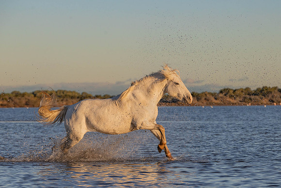 Eric-00723