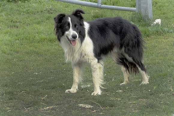 Eric-00277