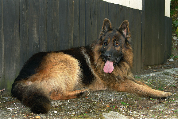 Eric-00016