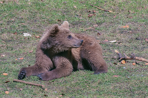 Eric-00140