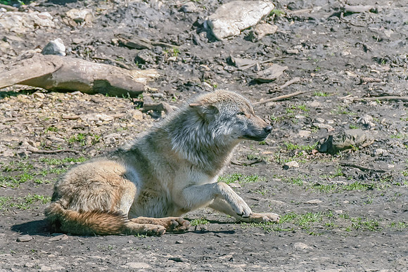 Eric-00104