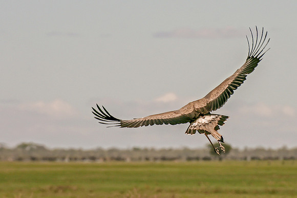Eric-00250