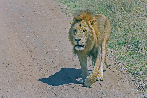 Eric-00342