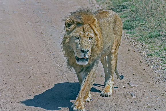 Eric-00343