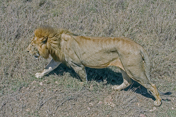 Eric-00346