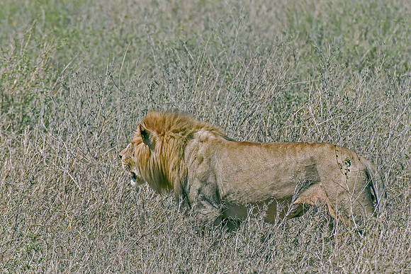 Eric-00347