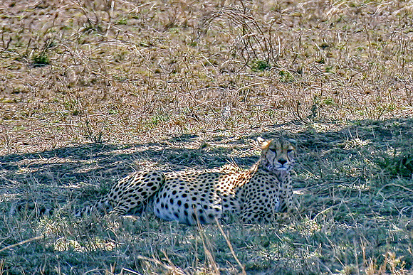 Eric-00358