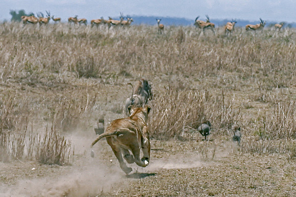 Eric-00396