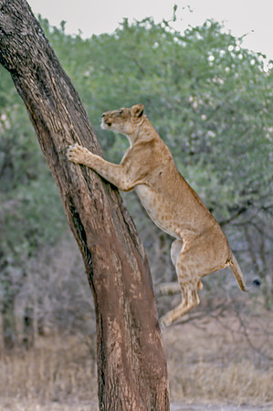 Eric-00590