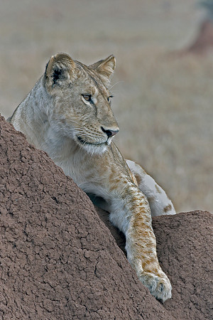 Eric-00618