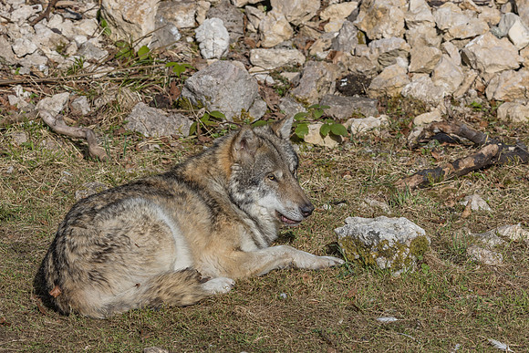 Eric-04055