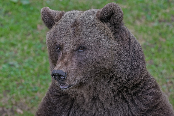 Eric-02423