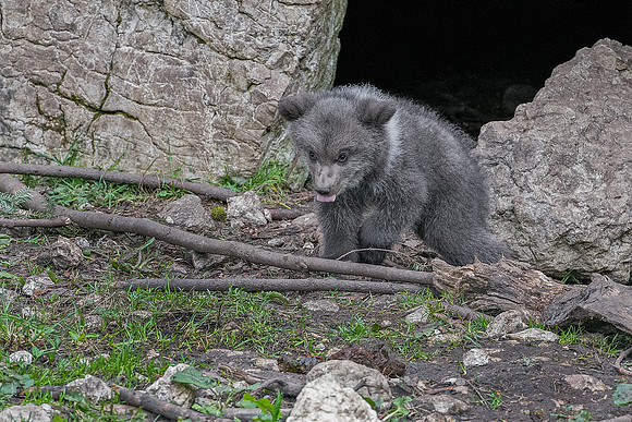 Eric-02421