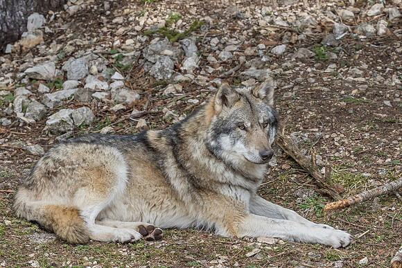 Eric-03992