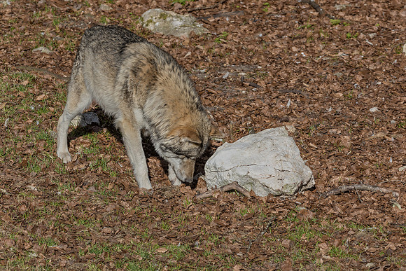 Eric-04058