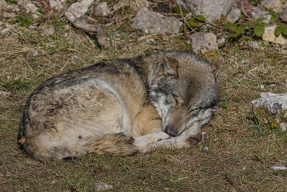 Eric-04057