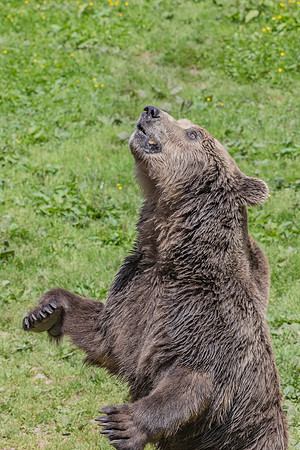 Eric-03315