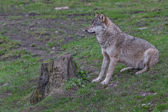 Eric-02404