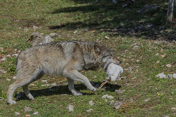 Eric-04075