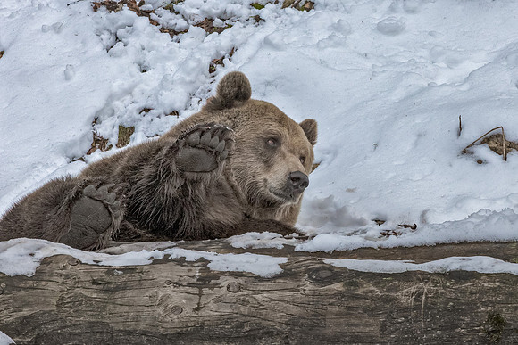 Eric-02201