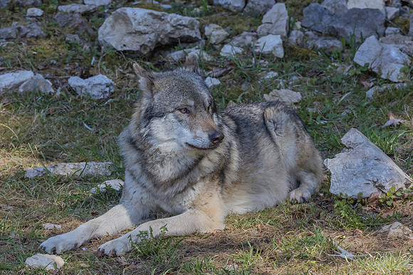 Eric-04079