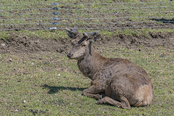 Eric-04065